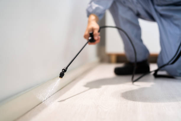 Certified termite inspector examining foundation in Washington
